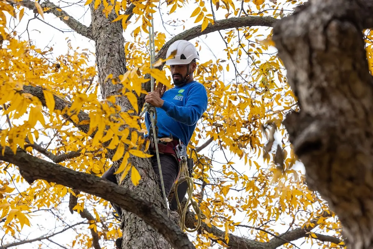 Skilled Storm Damage Cleanup crew working in Atwood